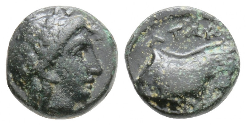 Greek Coins
MYSIA, Atarneos. (Circa 350-300 BC)
AE Bronze (9.4mm 1g)