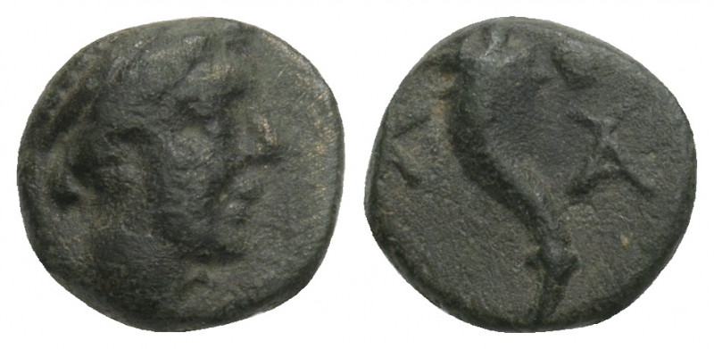 Greek
CARIA, Kaunos. (Circa 190-166 BC)
AE Bronze (9.2mm 1g)