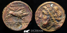 Apulia, Arpi Æ Bronze Æ21 6.90 g., 21 mm. Greek III c. B.C. Near extremely fine