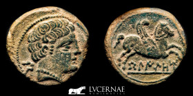 Very rare Beligiom Bronze Semis 6.56 g., 20 mm. Beligiom 120-20 B.C. Very Fine