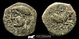 Ancient Hispania  Bronze As 12,35 g, 26 mm. Castulo 50  B.C. Good fine (MBC+)
