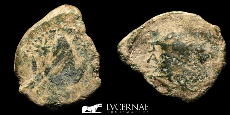Ancient Hispania - Acinipo (Ronda, Málaga), bronze as. 100-50 BC. Two grain ear ...