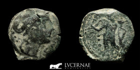 Hispain Julius Caesar times Bronze Semis 4.71 g., 20 mm. Corduba 44 BC Good very fine (MBC)