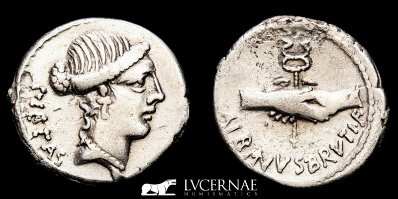 Roman Republic / Imperatorial - Albinus Bruti f. silver denarius (3,77 g. 19 mm....