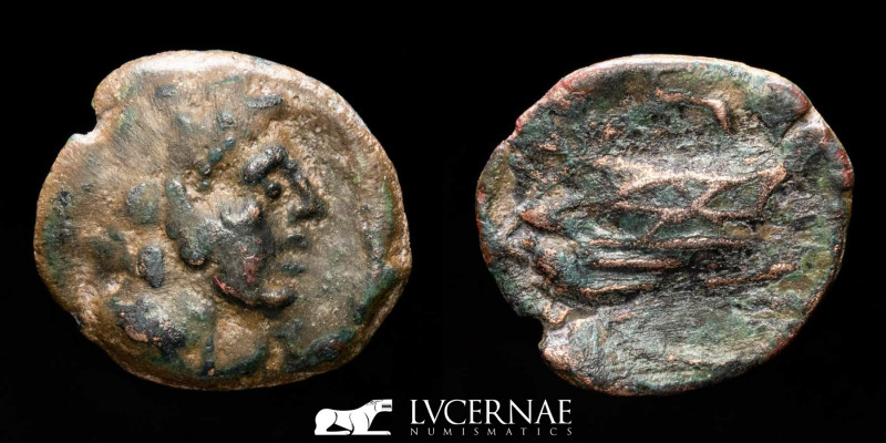 Roman Republican Coinage - Anonymous, Quadrans, Rome, after 211 BC; AE

Head of ...