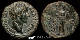 Marcus Aurelius as Caesar Bronze As 11.19 g., 26 mm. Rome 145 A.D. Good very fine