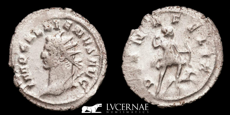 Roman Empire - Gallienus joint reing with Valerian I (253-260 A.D.) Silver anton...