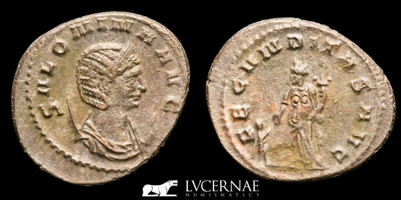 Roman Empire - Salonina during the Gallienus sole reign (260-268 A.D.) bronze an...