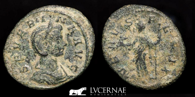 Severina (wife of Aurelian) Æ Denarius. Rome, AD 275. 

SEVERINA AVG, diademed a...