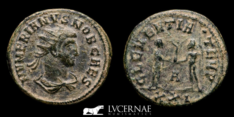 Roman Empire.
Numerian as Caesar, AE antoninianus. Cyzicus mint. 

NVMERIANVS NO...