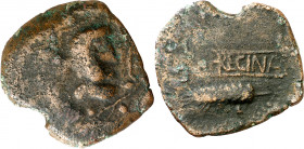 Turrirregina (Casas de la Reina). As. (FAB. 2466) (ACIP. 960) (Colección Cores nº 769, mismo ejemplar). Rarísima. 13,65 g. BC+.