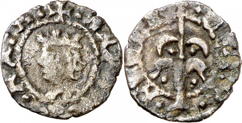 Alfons IV (1416-1458). Perpinyà. Òbol. (Cru.V.S. 831 var) (Cru.C.G. 2878b). Esca...