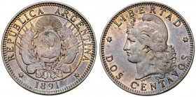 Argentina. 1891. 2 centavos. (Kr. 33). CU. 9,70 g. MBC+.
