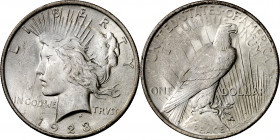 Estados Unidos. 1923. Filadelfia. 1 dólar. (Kr. 150). AG. 26,69 g. EBC+.