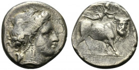 Southern Campania, Neapolis, c. 300-275 BC. AR Didrachm (18.5mm, 7.05g, 6h). Head of nymph r.; grape bunch behind neck. R/ Man-headed bull walking r.;...