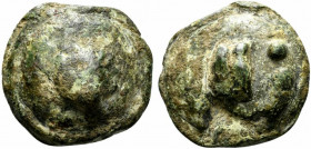 Northern Apulia, Luceria, c. 225-217 BC. Cast Æ Biunx (35.5mm, 70.38g). Scallop shell. R/ Astragalos; L to r., two pellets to l. Vecchi, ICC, 341; HNI...