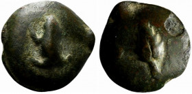 Northern Apulia, Luceria, c. 225-217 BC. Cast Æ Uncia (32mm, 36.01g, 9h). Frog. R/ Corn-ear. Vecchi, ICC 342; HNItaly 674; SNG ANS -. Near VF