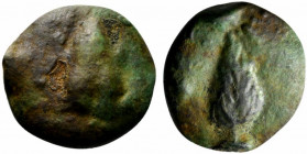 Northern Apulia, Luceria, c. 225-217 BC. Cast Æ Uncia (27.5mm, 22.26g, 9h). Frog. R/ Corn-ear; in field, pellet. Vecchi, ICC 342; HNItaly 674; SNG ANS...