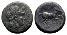 Northern Apulia, Salapia, c. 225-210 BC. Æ (22.5mm, 8.78g, 6h). Poullos, magistrate. Laureate head of Apollo r. R/ Horse prancing r.; trident above. H...