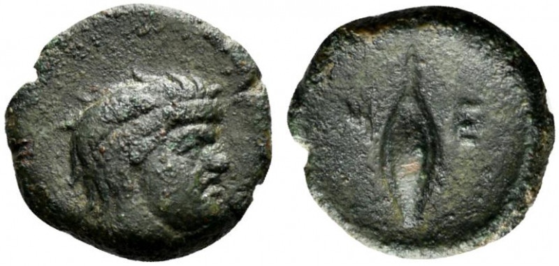 Southern Lucania, Metapontion, c. 350-275 BC. Æ (14mm, 2.52g, 6h). Head of Silen...