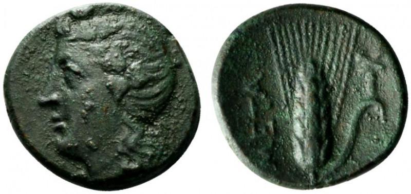 Southern Lucania, Metapontion, c. 300-250 BC. Æ (16mm, 3.20g, 5h). Wreathed head...