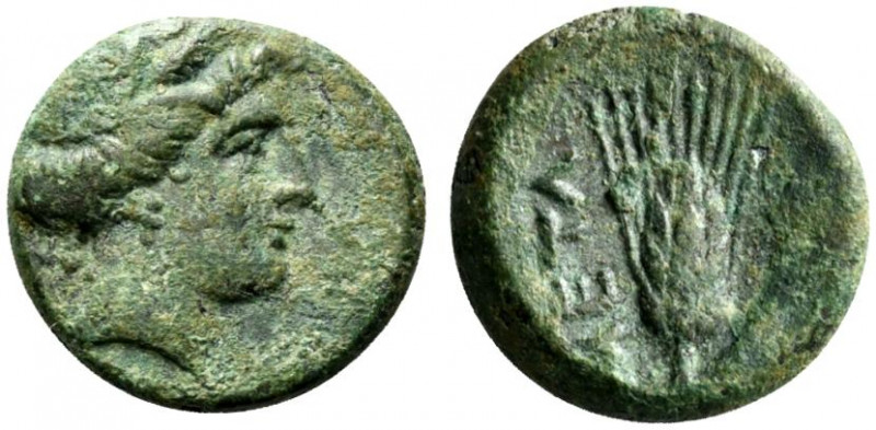 Southern Lucania, Metapontion, c. 300-250 BC. Æ (14mm, 2.75g, 9h). Wreathed head...