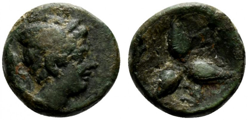 Southern Lucania, Metapontion, c. 225-200 BC. Æ (11mm, 2.06g). Head of Hermes r....