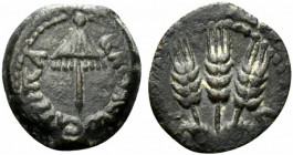 Agrippa I (37-43 CE). Judaea, Herodian Kings. Æ Prutah (16mm, 2.66g, 12h), year 6 (41/2). Umbrella-like canopy. R/ Three grain ears; date across field...