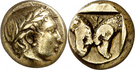 (454-427 a.C.). Lesbos. Mytilene. Hekté. (S. 4244 var) (CNG. VI, 983). Ex Numismatik Naumann 02/03/2014, nº 269. 2,55 g. MBC+.