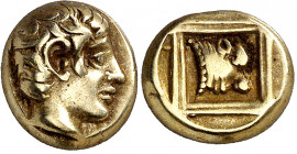 (454-427 a.C.). Lesbos. Mytilene. Hekté. (S. falta) (CNG. VI, 965, mismo ejemplar). Ex Numismatik Lanz 02/11/2009, nº 106. 2,52 g. EBC-/MBC+.