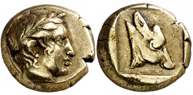 (454-427 a.C.). Lesbos. Mytilene. Hekté. (S. falta) (CNG. VI, 982). Ex Numismatik Naumann 02/03/2014, nº 268. 2,55 g. EBC-/MBC+.