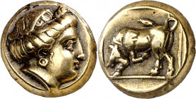 (377-326 a.C.). Lesbos. Mytilene. Hekté. (S. falta) (CNG. VI, 1014). Ex Numismatik Naumann 03/11/2013, nº 239. 2,51 g. EBC-.