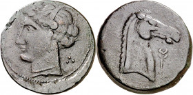 (260-240 a.C.). Incierta Sardo-Púnica. AE 28. (S. 6520 var, como de Cartago) (CNG. II, 1667) (Piras pág. 25, nº 3 var). 14,38 g. MBC+.