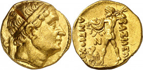 Imperio Seléucida. Antíoco II, Teos (261-246 a.C.). Estátera de oro. (S. 7497) (CNG. IX, 233). Golpe de cizalla en anverso. 8,29 g. MBC+.