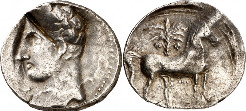 Cartagonova (Cartagena). Shekel. (FAB. 540) (ACIP. 626). Golpe de cizalla. 6,15 ...
