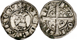 Jaume II (1291-1327). Barcelona. Diner. (Cru.V.S. 348) (Cru.C.G. 2162). Busto pequeño. A y U latinas. Buen ejemplar. Escasa así. 0,95 g. MBC+.