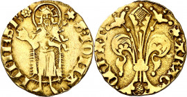 Pere III (1336-1387). Perpinyà. Florí. (Cru.V.S. 384) (Cru.Comas 16) (Cru.C.G. 2206). Marca: rosa de anillos. 3,43 g. MBC/MBC+.