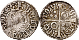 Ferran II (1479-1516). Barcelona. Croat. (Cru.V.S. 1139) (Cru.C.G. 3068a). 2,92 g. MBC.