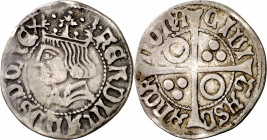 Ferran II (1479-1516). Barcelona. Croat. (Cru.V.S. 1139.1) (Cru.C.G. 3068). 3,04 g. MBC.