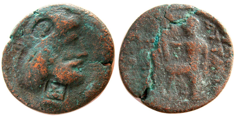 KINGDOM of CHARACENE. Attambelos I. 48/7-24 BC. Æ (12.88 gm; 25 mm). Diademed he...