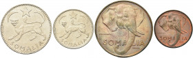 ROMA. AFIS, Amministrazione Fiduciaria Italiana della Somalia, 1950-1960.
Serie Completa comprensiva di un Somalo, 50, 10, 5 ed un Centesimo 1950. Mi...