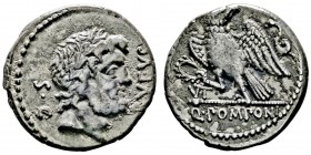 Q. Pomponius Rufus
Denarius, Rome, 73 avant J.C., AG 3.72g.
Avers: SC RVFVS Tête laurée de Jupiter 