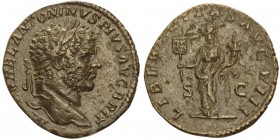 Caracalla 198-217
Sestertius, Rome, 213, AE 21.67g.
Avers: M AVREL ANTONINVS PIVS AVG BRIT
Buste barbu et lauré à droite.
Revers : LIBERALITAS A...