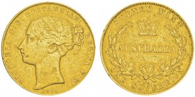 Victoria 1837-1901
Pound, Sydney, 1855S, AU 7.95g. Ref : KM#2, Fr.9
Conservation : TTB