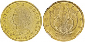 8 Escudos, Bogota, 1824/3 JF, AU 27g. Ref : KM#82.2, Fr.67
Conservation : NGC AU 58