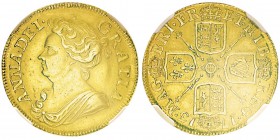 Anna 1665-1714
Guinea, 1713, AU 8.35g.
Ref : KM#534, Fr.320, Spink 3572
Conservation : NGC AU58