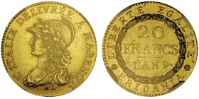 Napoléon en Italie
République Subalpine 1800-1802
20 Francs AN 9, Turin, 1800, AU 6.45g.
Ref : G.1, Mont.05, Pag.3, Fr.1172, C#5
Conservation : NG...