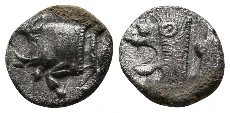 Mysia, Kyzikos (c.480 BC) Trihemiobol AR (10mm-1,16g). Forepart of boar left ; T...