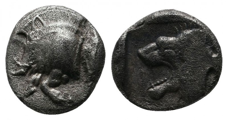 Mysia, Kyzikos (c.480 BC) Trihemiobol AR (10mm-1,19g). Forepart of boar left ; T...