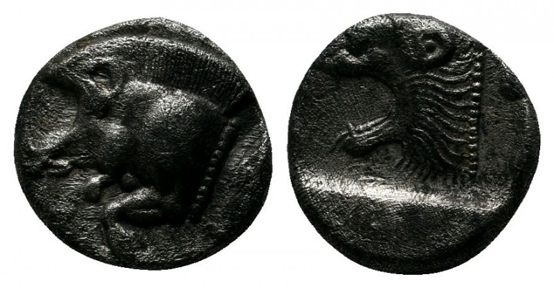 Mysia, Kyzikos (c.480 BC) Trihemiobol AR (9mm-1,18g). Forepart of boar left ; Tu...